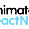 Premium and Custom React Native animations